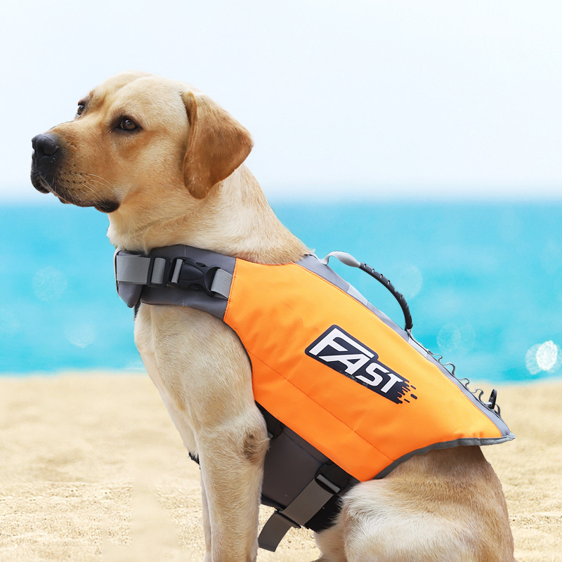 Chaleco Salvavidas para Perros - Life Jacket reseña y precio
